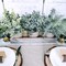 Set of 3 Mini Artificial Eucalyptus & Rosemary Plants in Wooden Planter